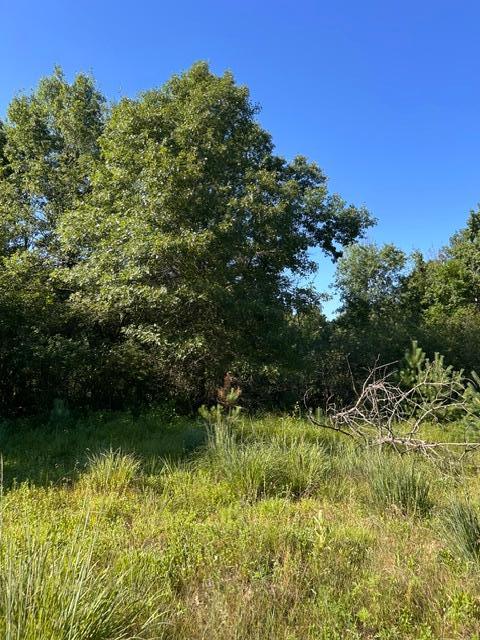 View of Land at 000 University Avenue, Isanti MN 55040, Isanti (16 of 37) - Mike Wilen | Minnesota Team Real Estate