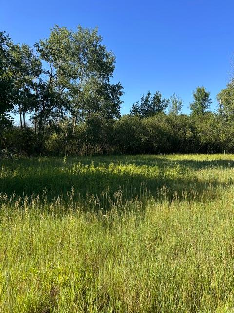 View of Land at 000 University Avenue, Isanti MN 55040, Isanti (13 of 37) - Mike Wilen | Minnesota Team Real Estate