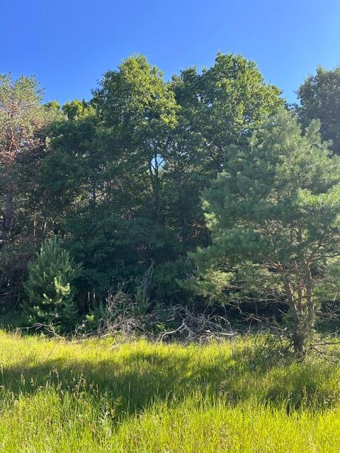 View of Land at 000 University Avenue, Isanti MN 55040, Isanti (37 of 37) - Mike Wilen | Minnesota Team Real Estate