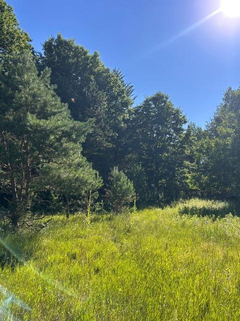 View of Land at 000 University Avenue, Isanti MN 55040, Isanti (36 of 37) - Mike Wilen | Minnesota Team Real Estate