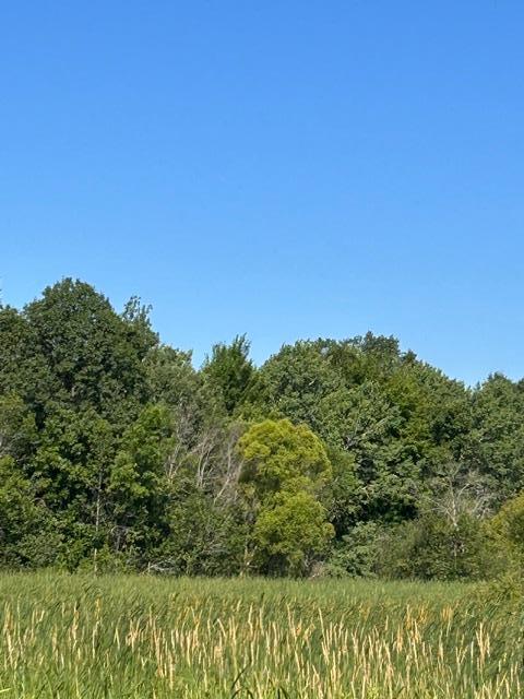 View of Land at 000 University Avenue, Isanti MN 55040, Isanti (33 of 37) - Mike Wilen | Minnesota Team Real Estate