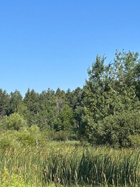 View of Land at 000 University Avenue, Isanti MN 55040, Isanti (32 of 37) - Mike Wilen | Minnesota Team Real Estate