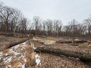 View of Land at 12216 Arcola Trail, Stillwater MN 55082, Stillwater (15 of 22) - Mike Wilen | Minnesota Team Real Estate