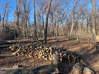 View of Land at 12216 Arcola Trail, Stillwater MN 55082, Stillwater (14 of 22) - Mike Wilen | Minnesota Team Real Estate