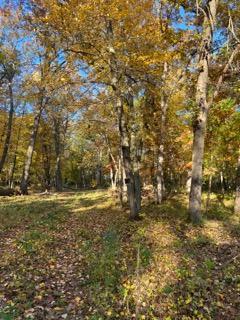 View of Land at 12216 Arcola Trail, Stillwater MN 55082, Stillwater (12 of 22) - Mike Wilen | Minnesota Team Real Estate