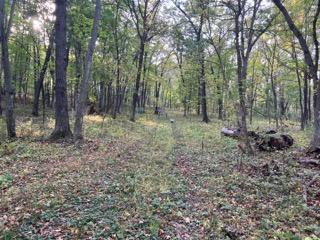 View of Land at 12216 Arcola Trail, Stillwater MN 55082, Stillwater (7 of 22) - Mike Wilen | Minnesota Team Real Estate