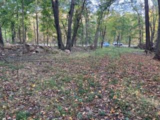 View of Land at 12216 Arcola Trail, Stillwater MN 55082, Stillwater (11 of 22) - Mike Wilen | Minnesota Team Real Estate