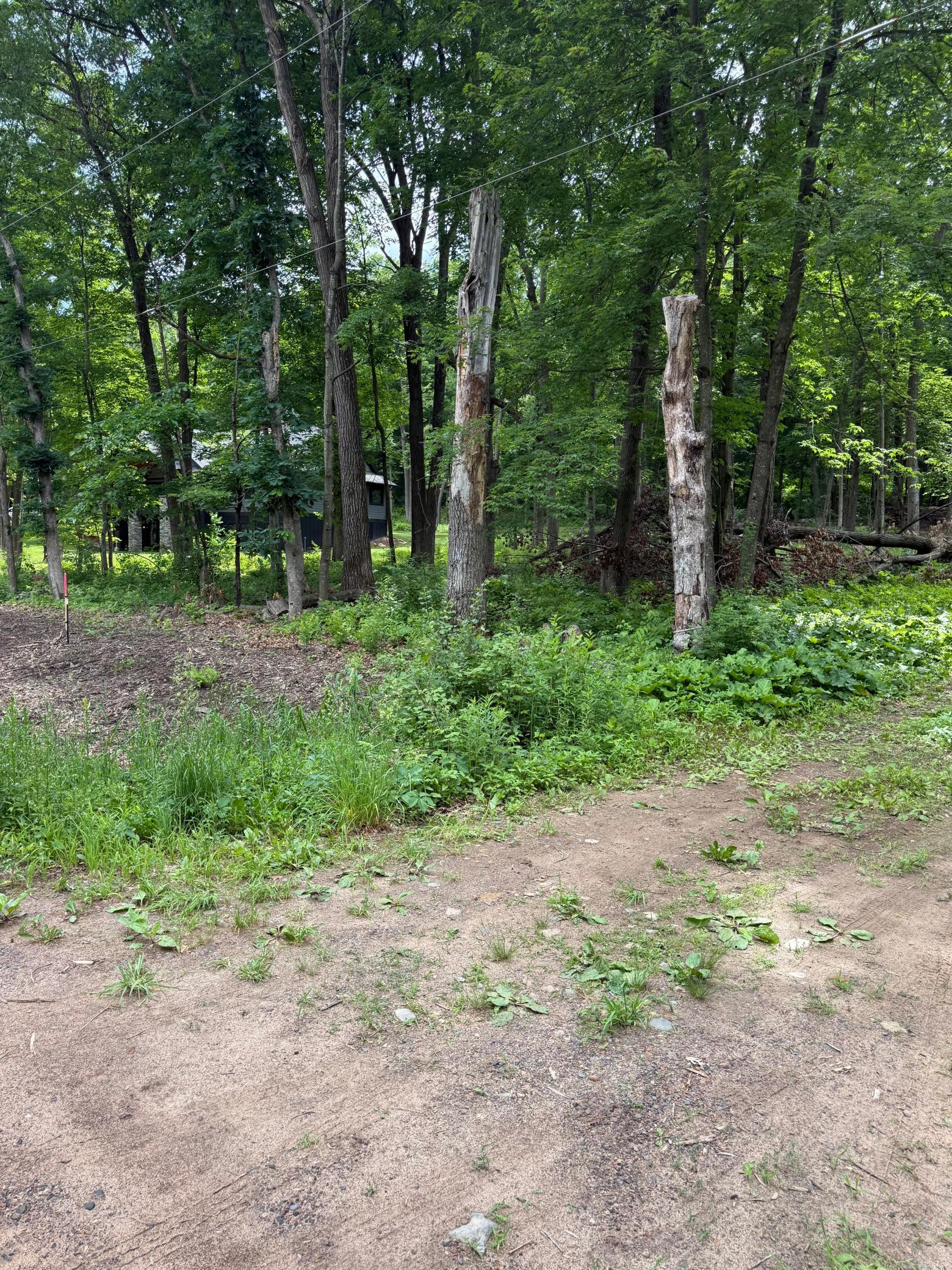 View of Land at 12216 Arcola Trail, Stillwater MN 55082, Stillwater (6 of 22) - Mike Wilen | Minnesota Team Real Estate