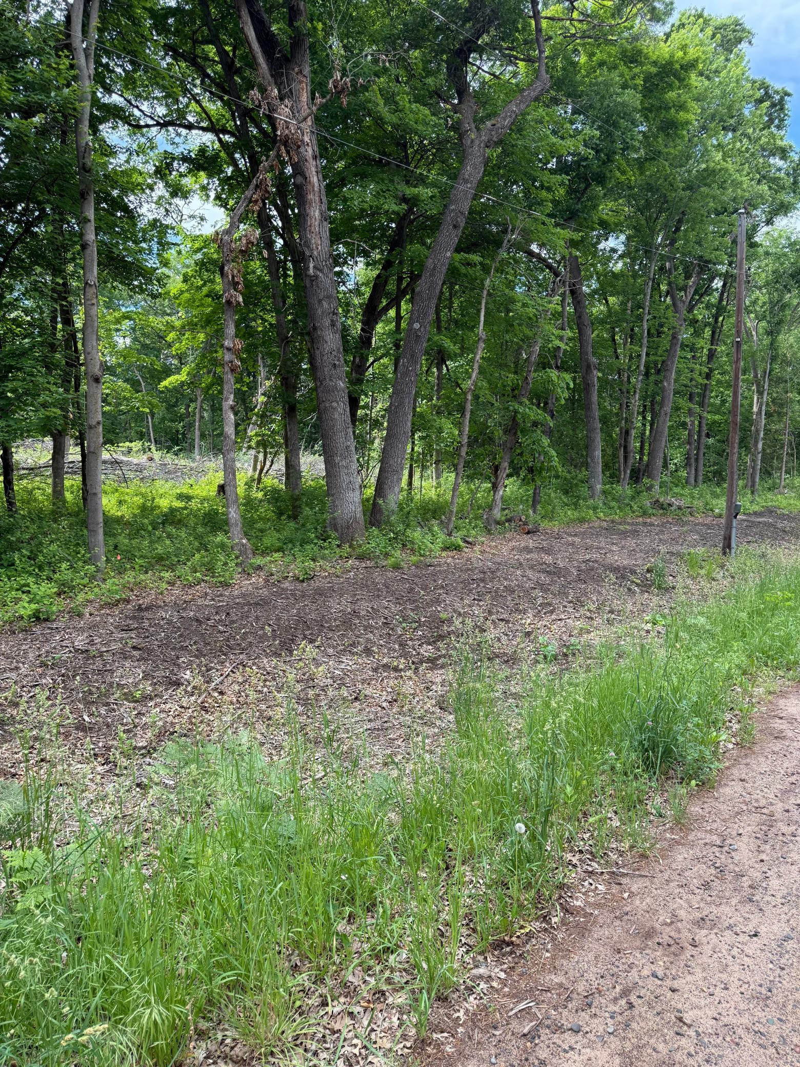 View of Land at 12216 Arcola Trail, Stillwater MN 55082, Stillwater (5 of 22) - Mike Wilen | Minnesota Team Real Estate