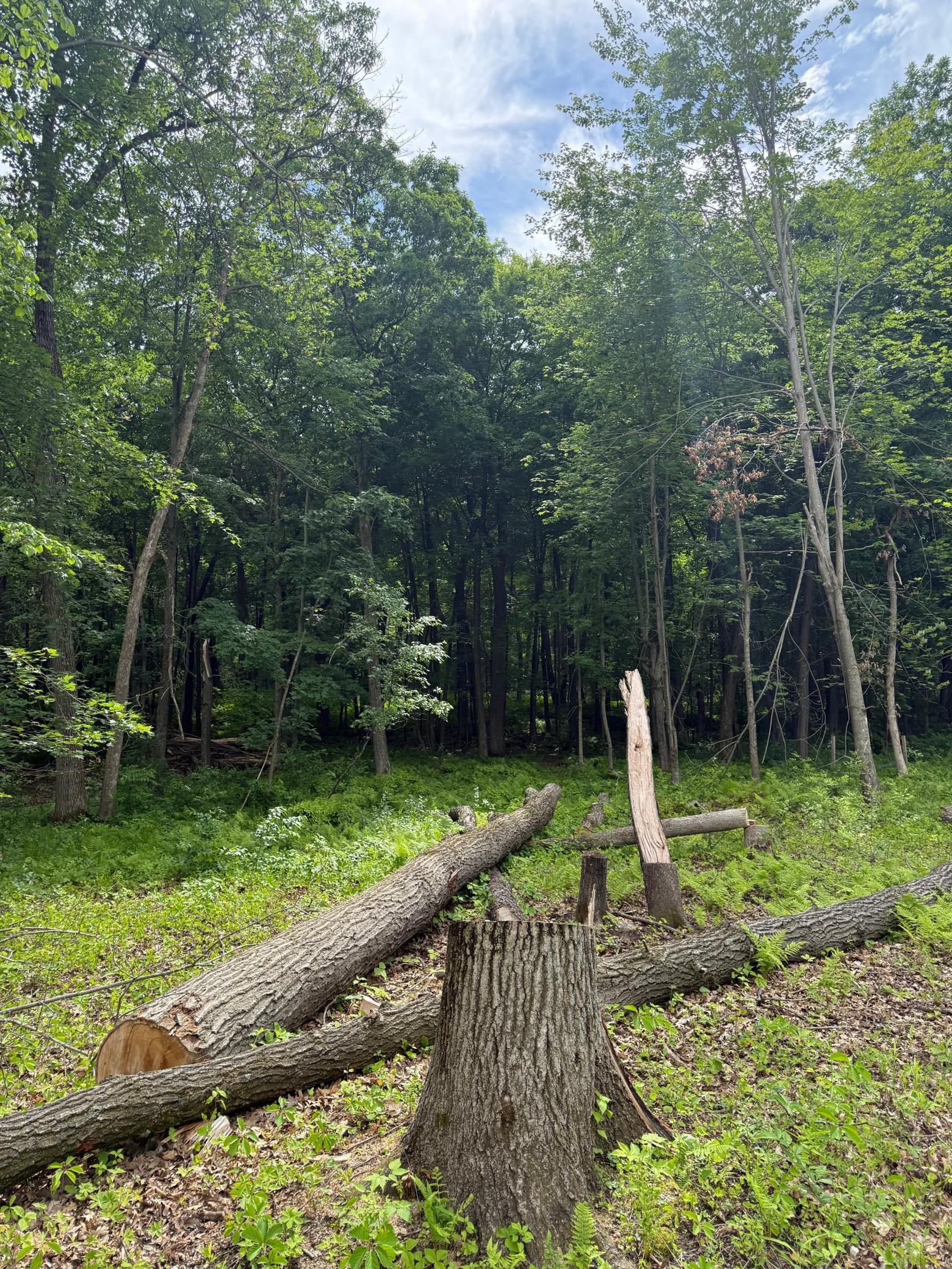 View of Land at 12216 Arcola Trail, Stillwater MN 55082, Stillwater (22 of 22) - Mike Wilen | Minnesota Team Real Estate