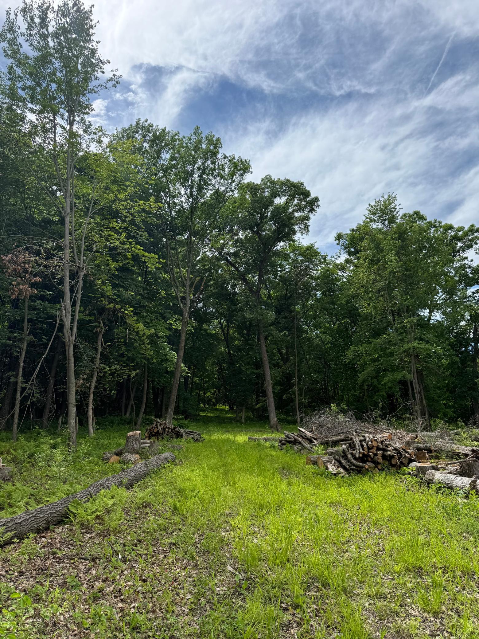 View of Land at 12216 Arcola Trail, Stillwater MN 55082, Stillwater (4 of 22) - Mike Wilen | Minnesota Team Real Estate