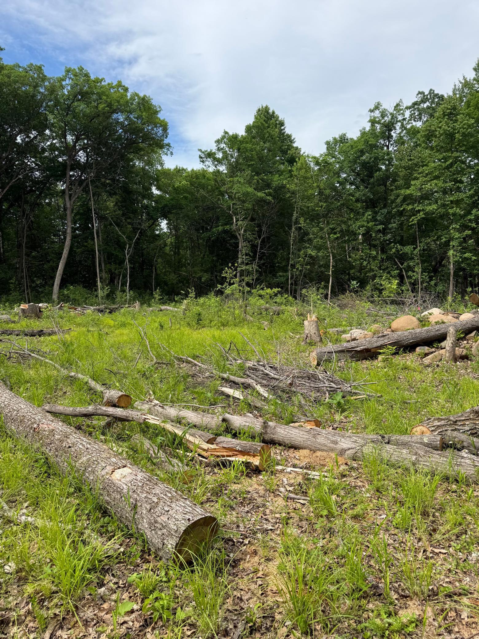 View of Land at 12216 Arcola Trail, Stillwater MN 55082, Stillwater (21 of 22) - Mike Wilen | Minnesota Team Real Estate