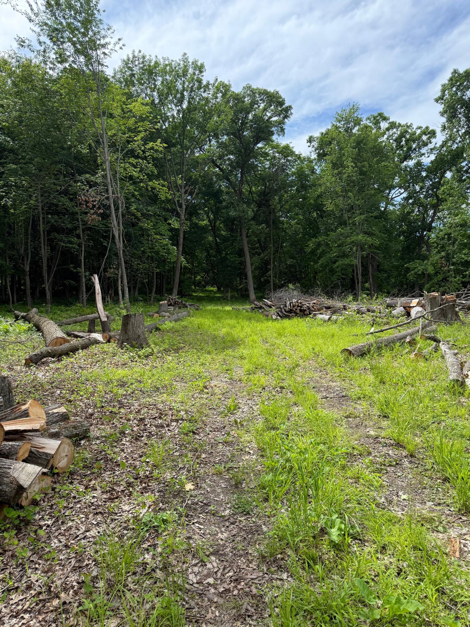 View of Land at 12216 Arcola Trail, Stillwater MN 55082, Stillwater (2 of 22) - Mike Wilen | Minnesota Team Real Estate