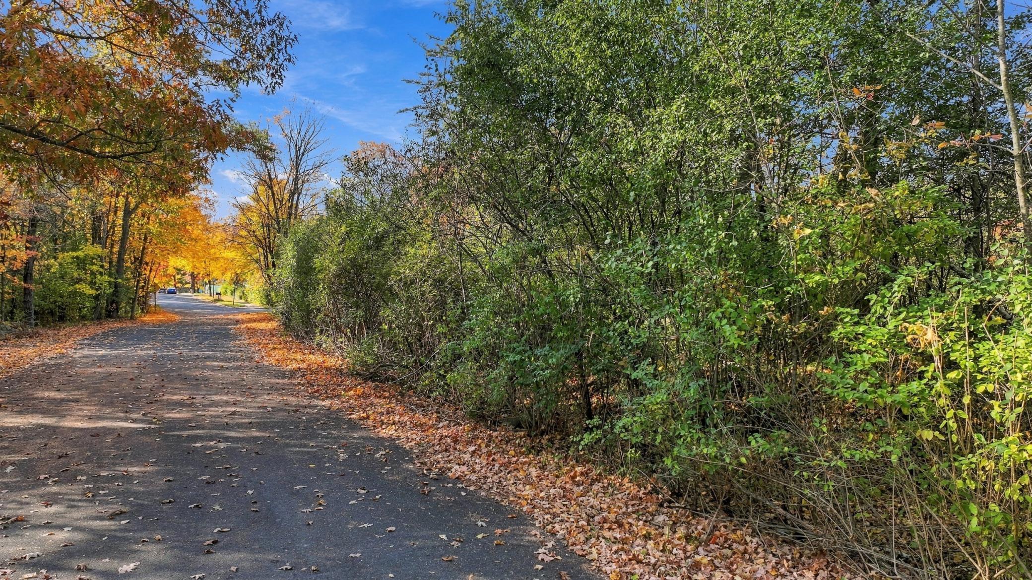View of Land at 867 River Street, Taylors Falls MN 55084, Taylors Falls (17 of 37) - Mike Wilen | Minnesota Team Real Estate