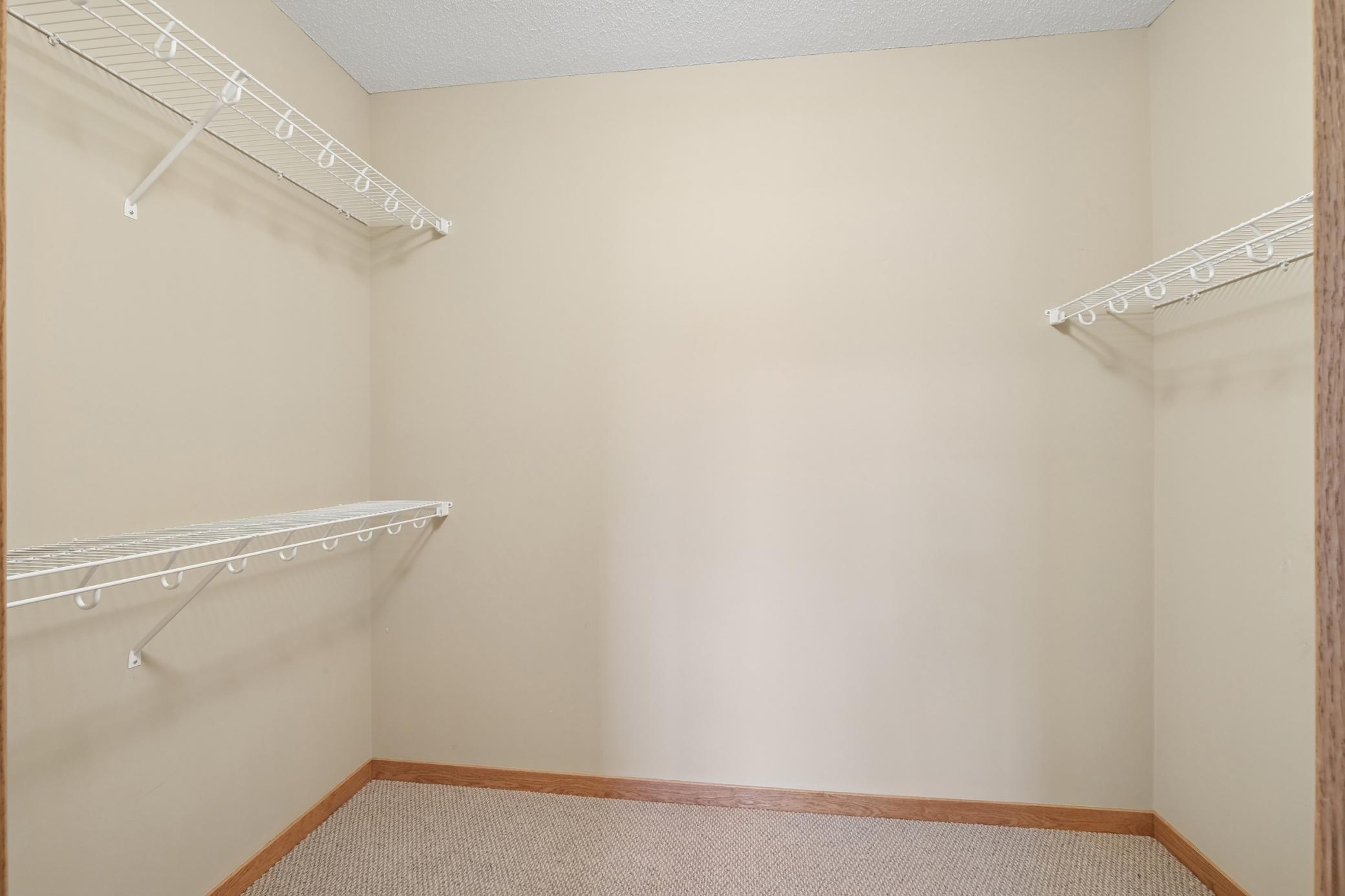 View of Residential at 1317 Waters Path, Woodbury MN 55129, Woodbury (23 of 36) - Mike Wilen | Minnesota Team Real Estate