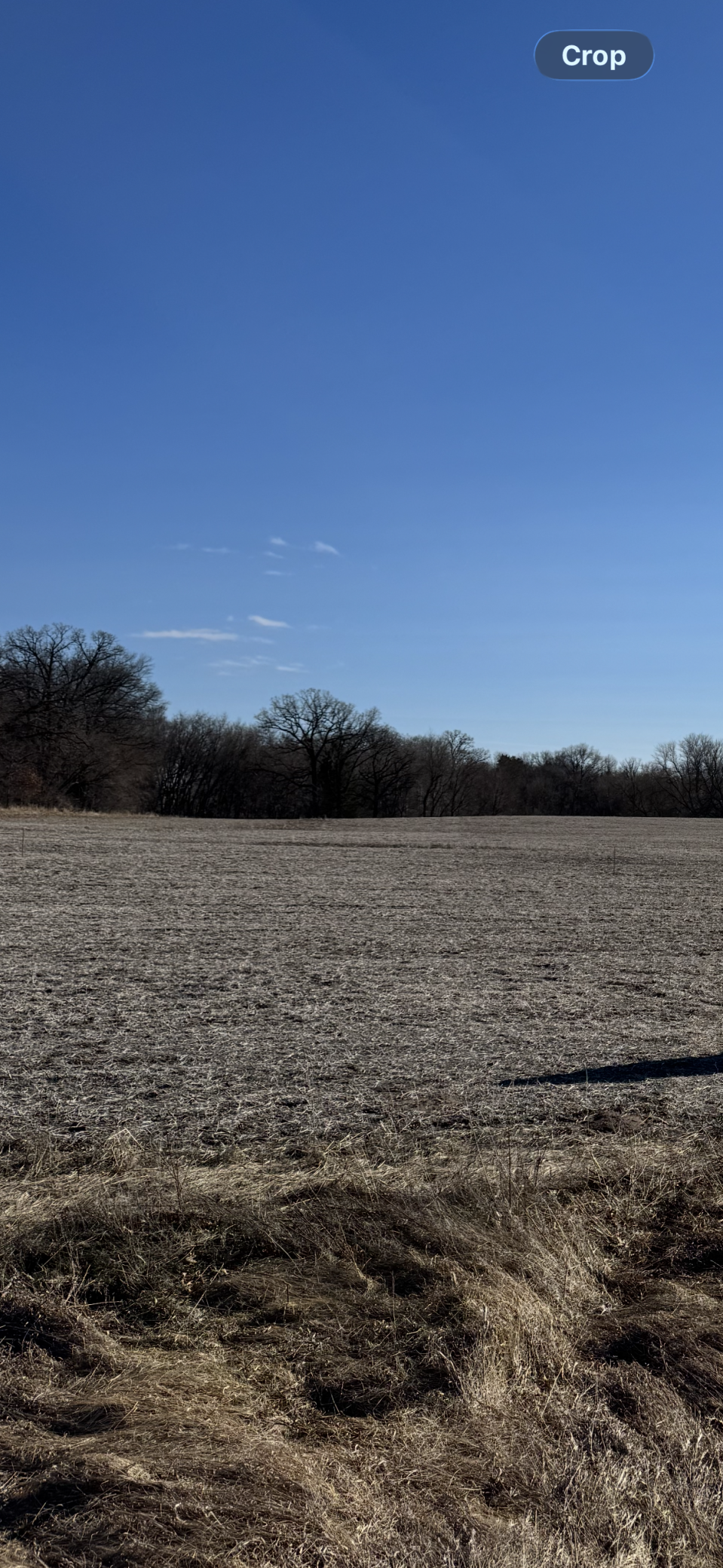 View of Land at TBD 210th Lane, Nowthen MN 55303, Nowthen - Mike Wilen | Minnesota Team Real Estate