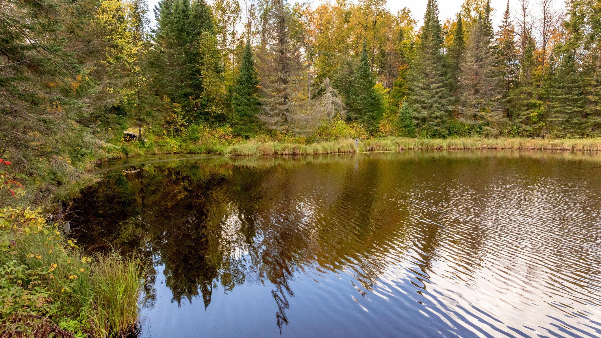 View of Residential at 44047 Little Pine Road, Emily MN 56447, Emily (63 of 92) - Mike Wilen | Minnesota Team Real Estate