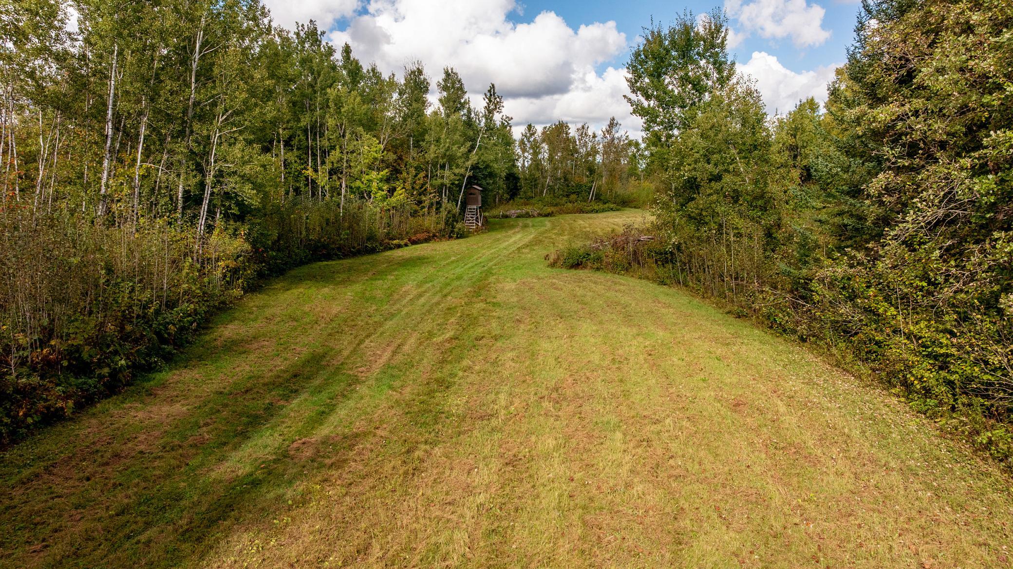 View of Residential at 44047 Little Pine Road, Emily MN 56447, Emily (64 of 92) - Mike Wilen | Minnesota Team Real Estate