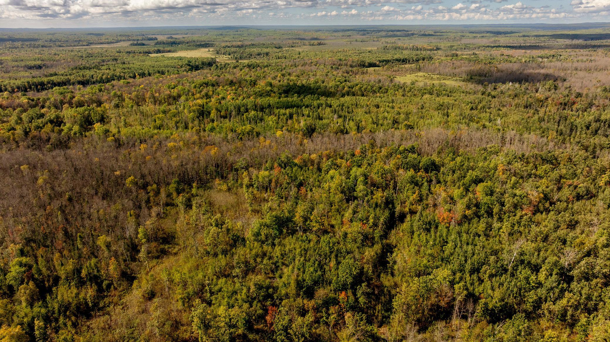 View of Residential at 44047 Little Pine Road, Emily MN 56447, Emily (60 of 92) - Mike Wilen | Minnesota Team Real Estate