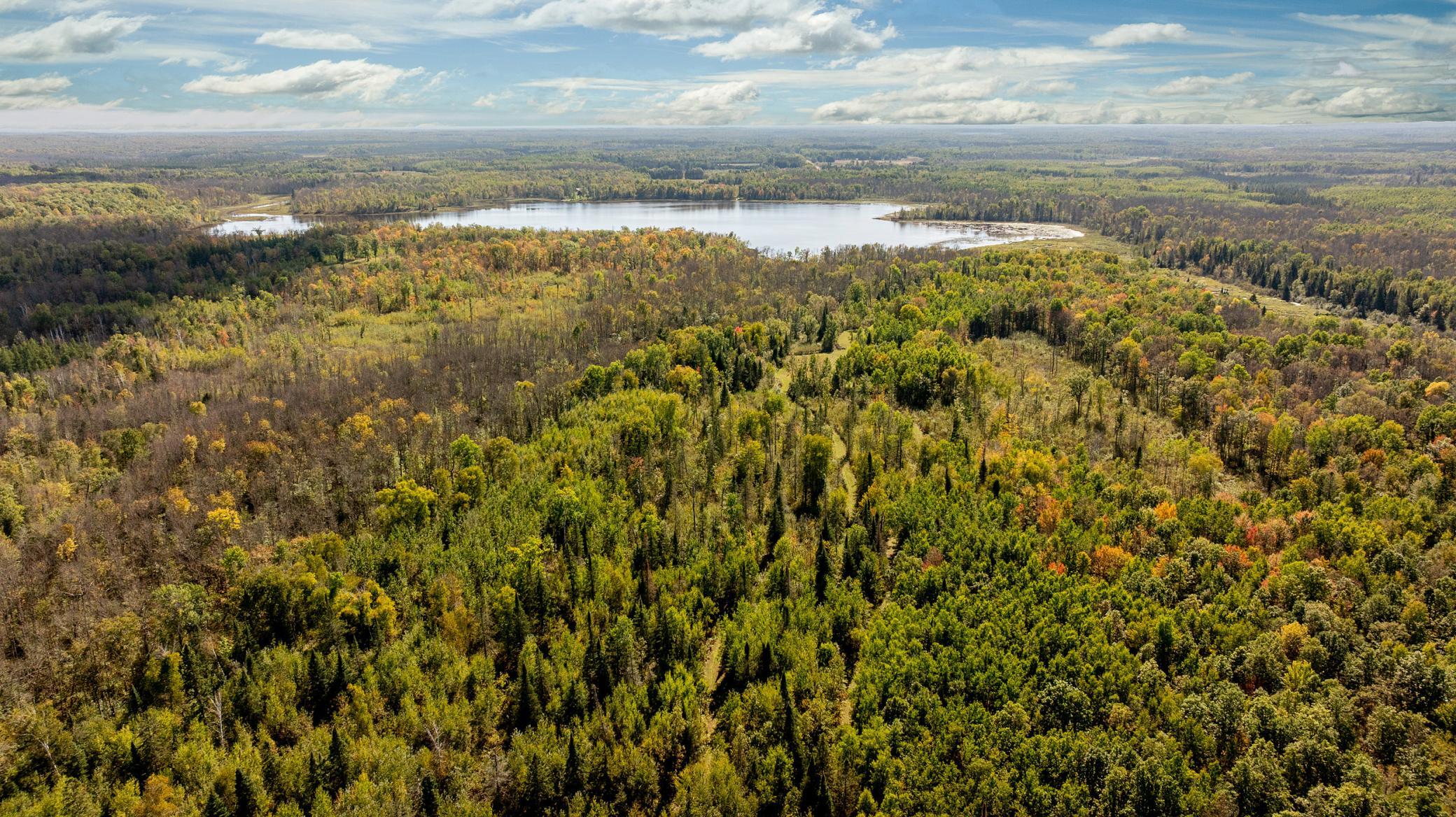 View of Residential at 44047 Little Pine Road, Emily MN 56447, Emily (58 of 92) - Mike Wilen | Minnesota Team Real Estate
