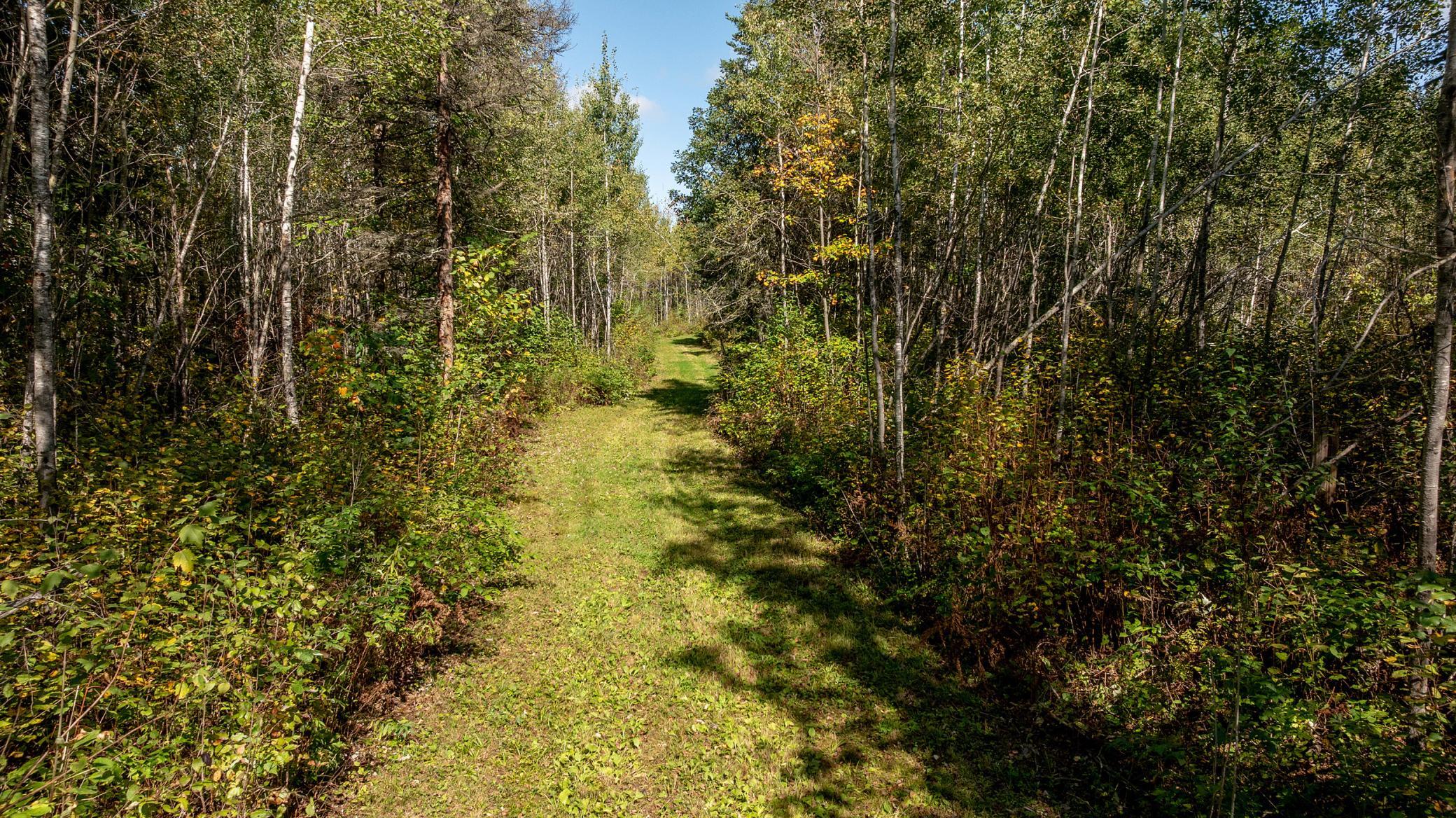 View of Residential at 44047 Little Pine Road, Emily MN 56447, Emily (8 of 92) - Mike Wilen | Minnesota Team Real Estate