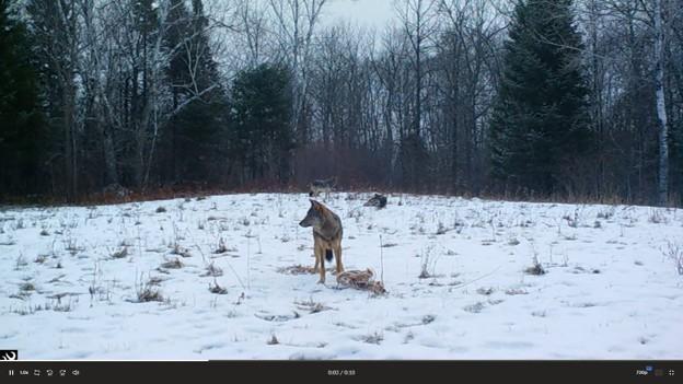 View of Residential at 44047 Little Pine Road, Emily MN 56447, Emily (92 of 92) - Mike Wilen | Minnesota Team Real Estate