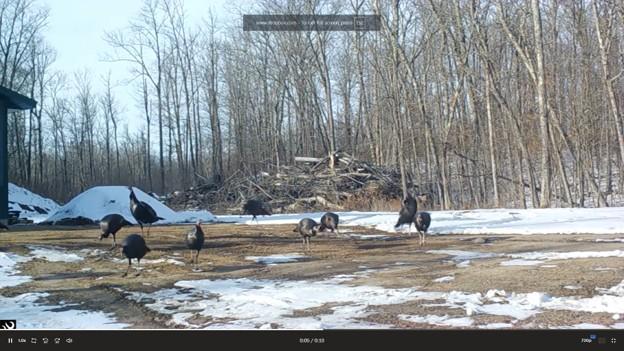 View of Residential at 44047 Little Pine Road, Emily MN 56447, Emily (88 of 92) - Mike Wilen | Minnesota Team Real Estate