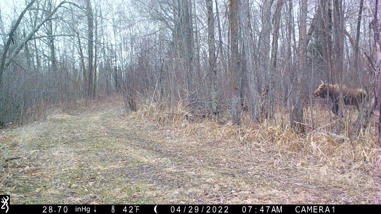 View of Residential at 44047 Little Pine Road, Emily MN 56447, Emily (75 of 92) - Mike Wilen | Minnesota Team Real Estate