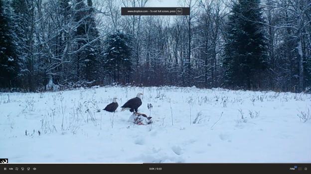 View of Residential at 44047 Little Pine Road, Emily MN 56447, Emily (85 of 92) - Mike Wilen | Minnesota Team Real Estate