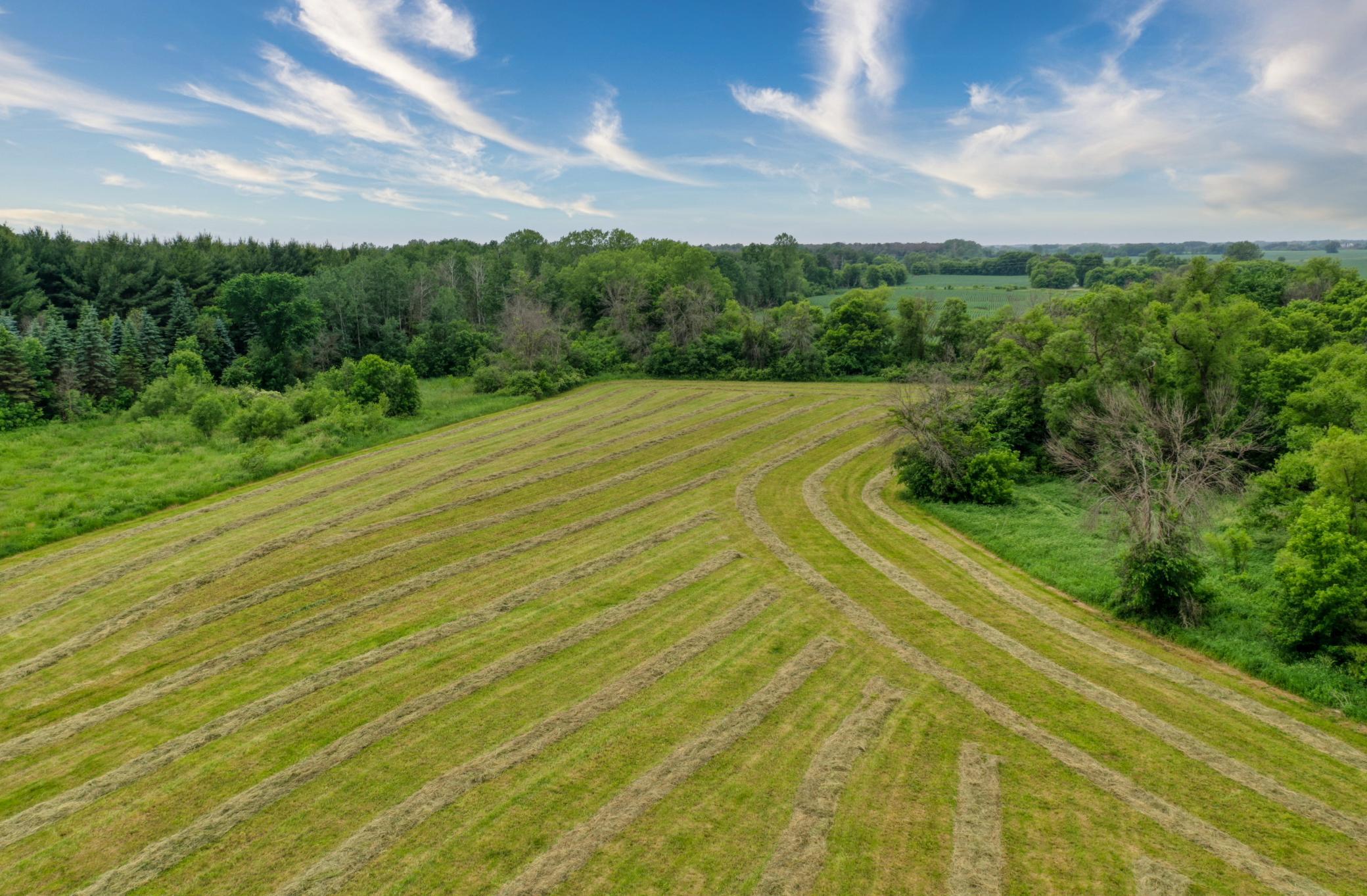 View of Residential at 5696 170th Street, Hugo MN 55038, Hugo (37 of 55) - Mike Wilen | Minnesota Team Real Estate