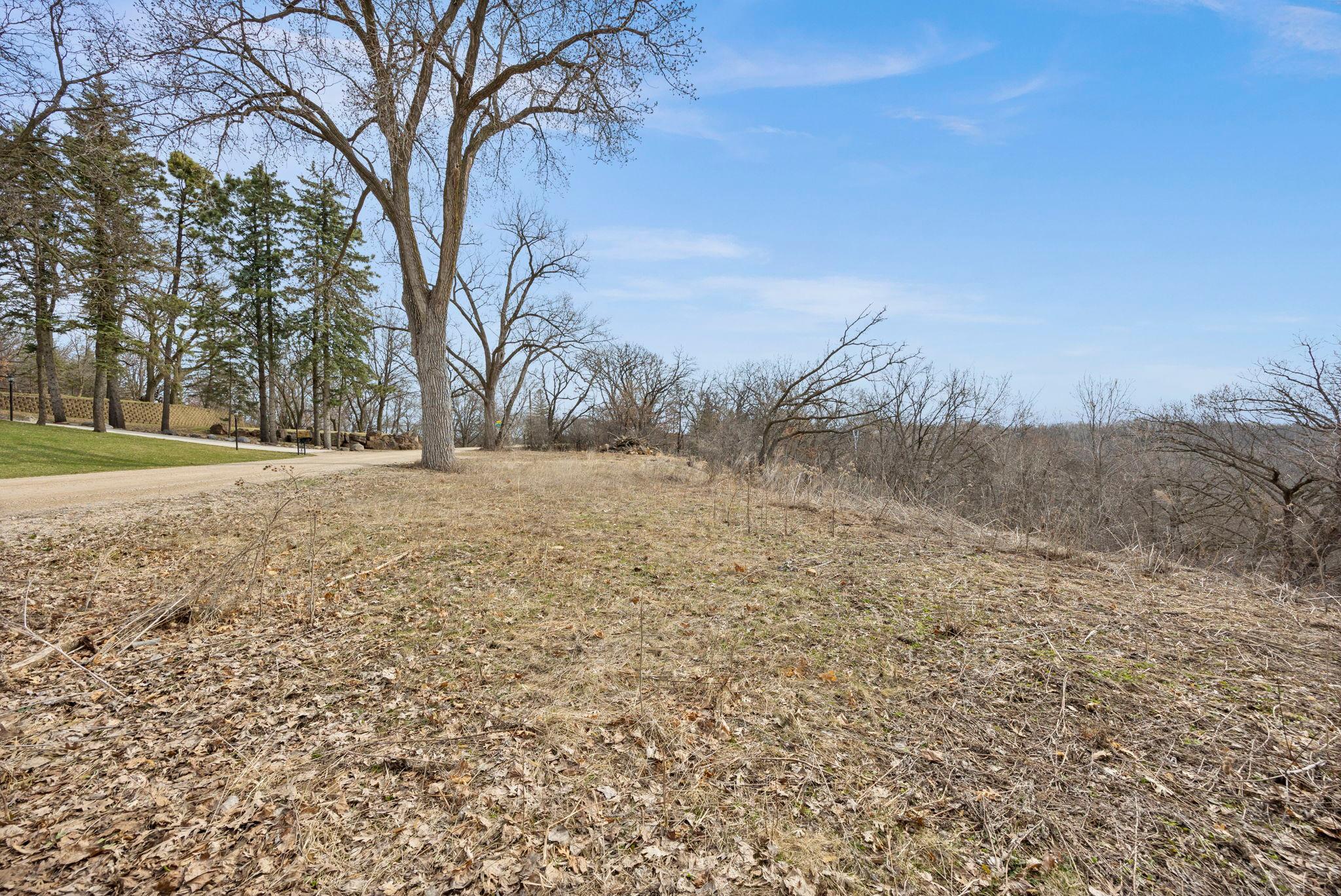 View of Land at TBD 162 Street, Lakeville MN 55044, Lakeville (5 of 9) - Mike Wilen | Minnesota Team Real Estate