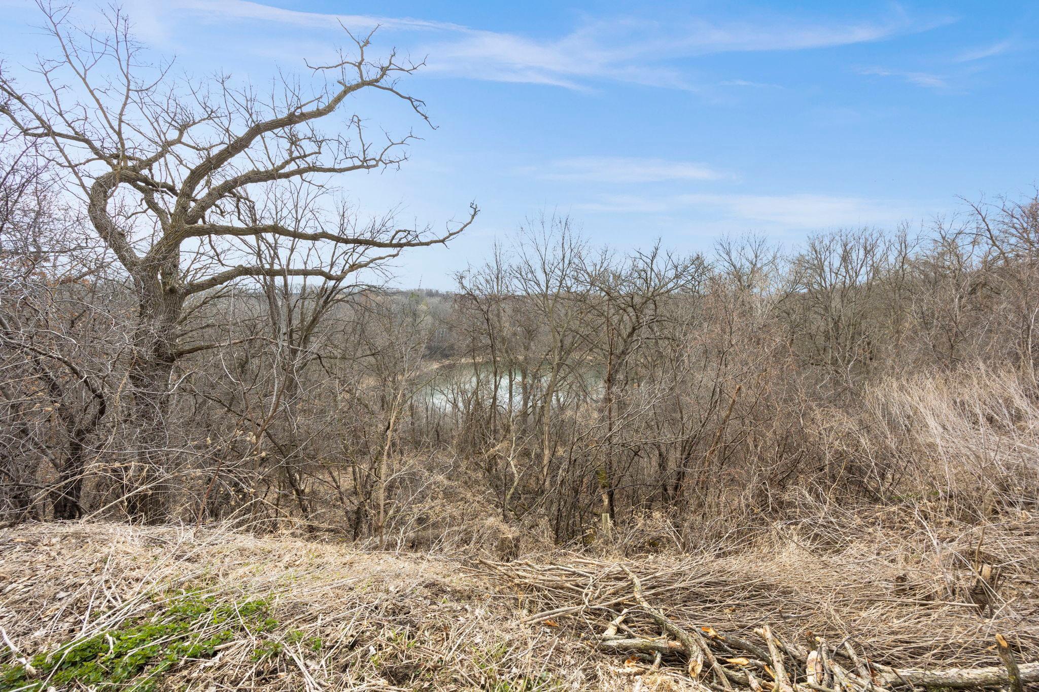 View of Land at TBD 162 Street, Lakeville MN 55044, Lakeville (4 of 9) - Mike Wilen | Minnesota Team Real Estate