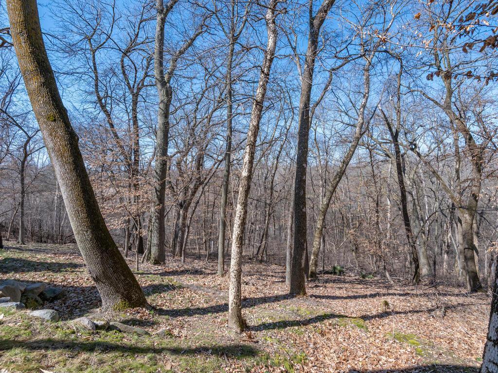 View of Residential at 1912 Linner Woods Court, Wayzata MN 55391, Wayzata (49 of 69) - Mike Wilen | Minnesota Team Real Estate