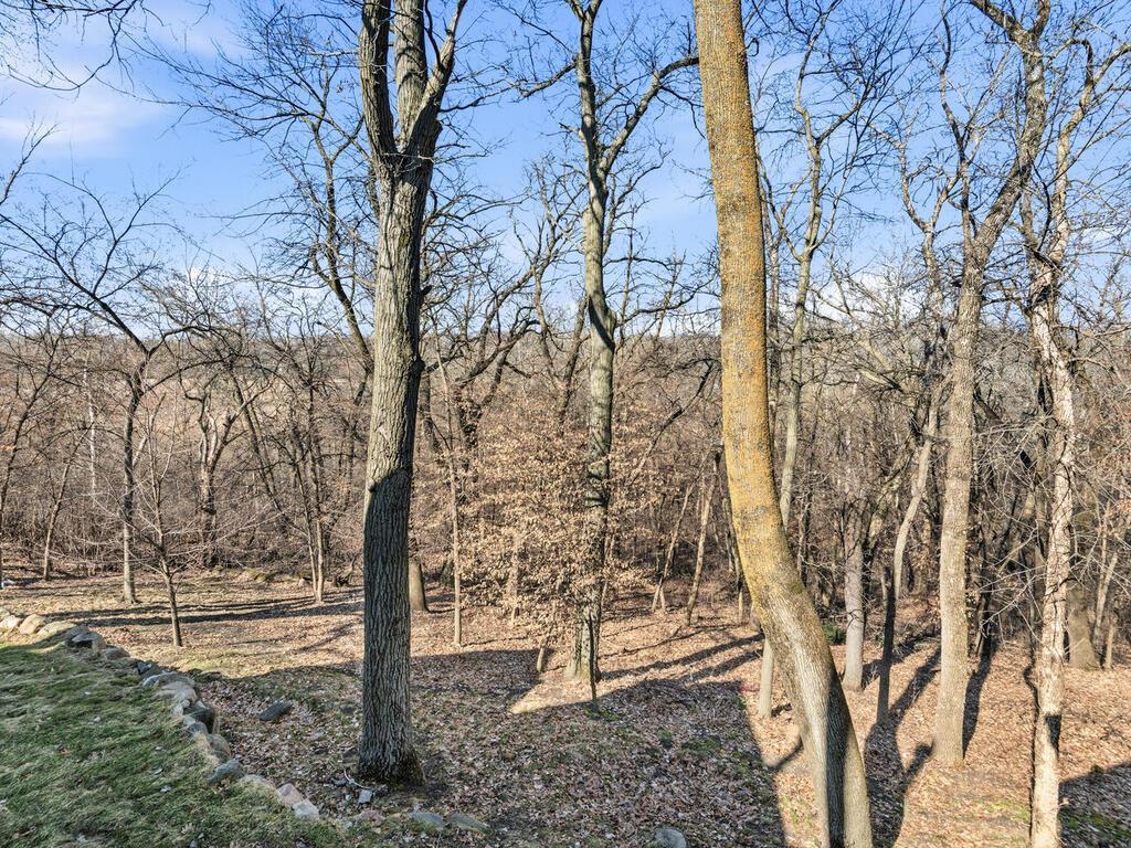 View of Residential at 1912 Linner Woods Court, Wayzata MN 55391, Wayzata (31 of 69) - Mike Wilen | Minnesota Team Real Estate