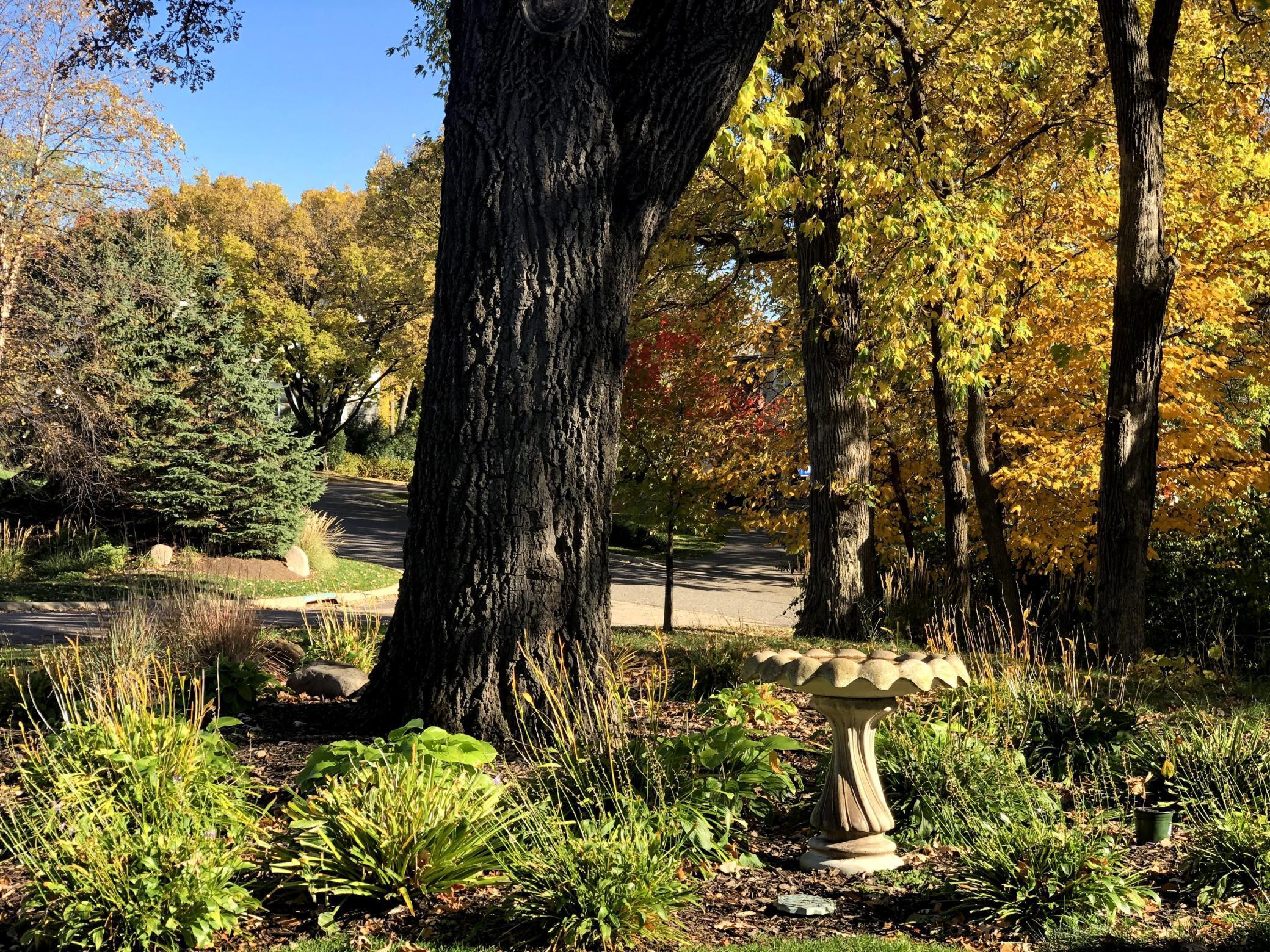 View of Residential at 1912 Linner Woods Court, Wayzata MN 55391, Wayzata (58 of 69) - Mike Wilen | Minnesota Team Real Estate
