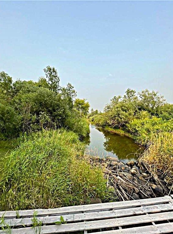 View of Land at 16913 220th Street, Milaca MN 56353, Milaca - Mike Wilen | Minnesota Team Real Estate