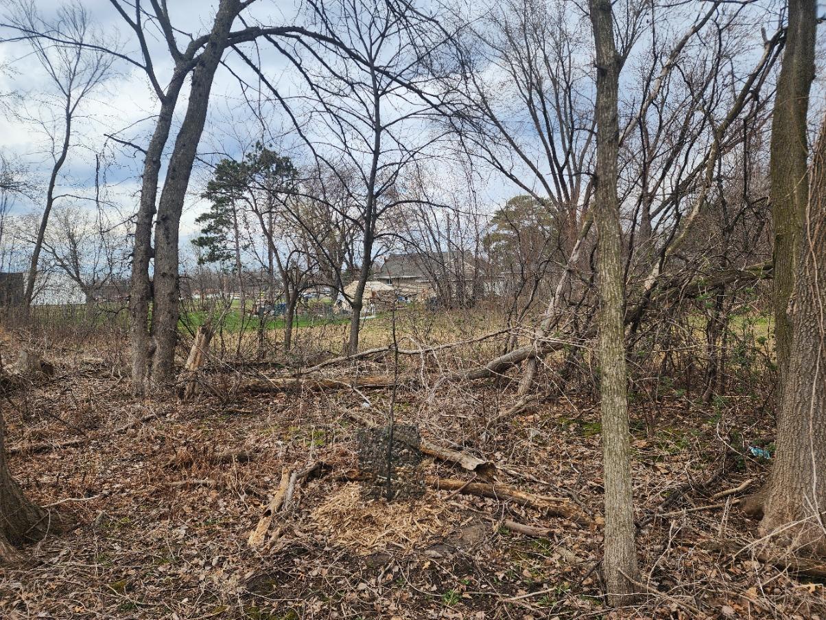 View of Land at TBD Eldridge Avenue, Maplewood MN 55109, Maplewood (3 of 4) - Mike Wilen | Minnesota Team Real Estate