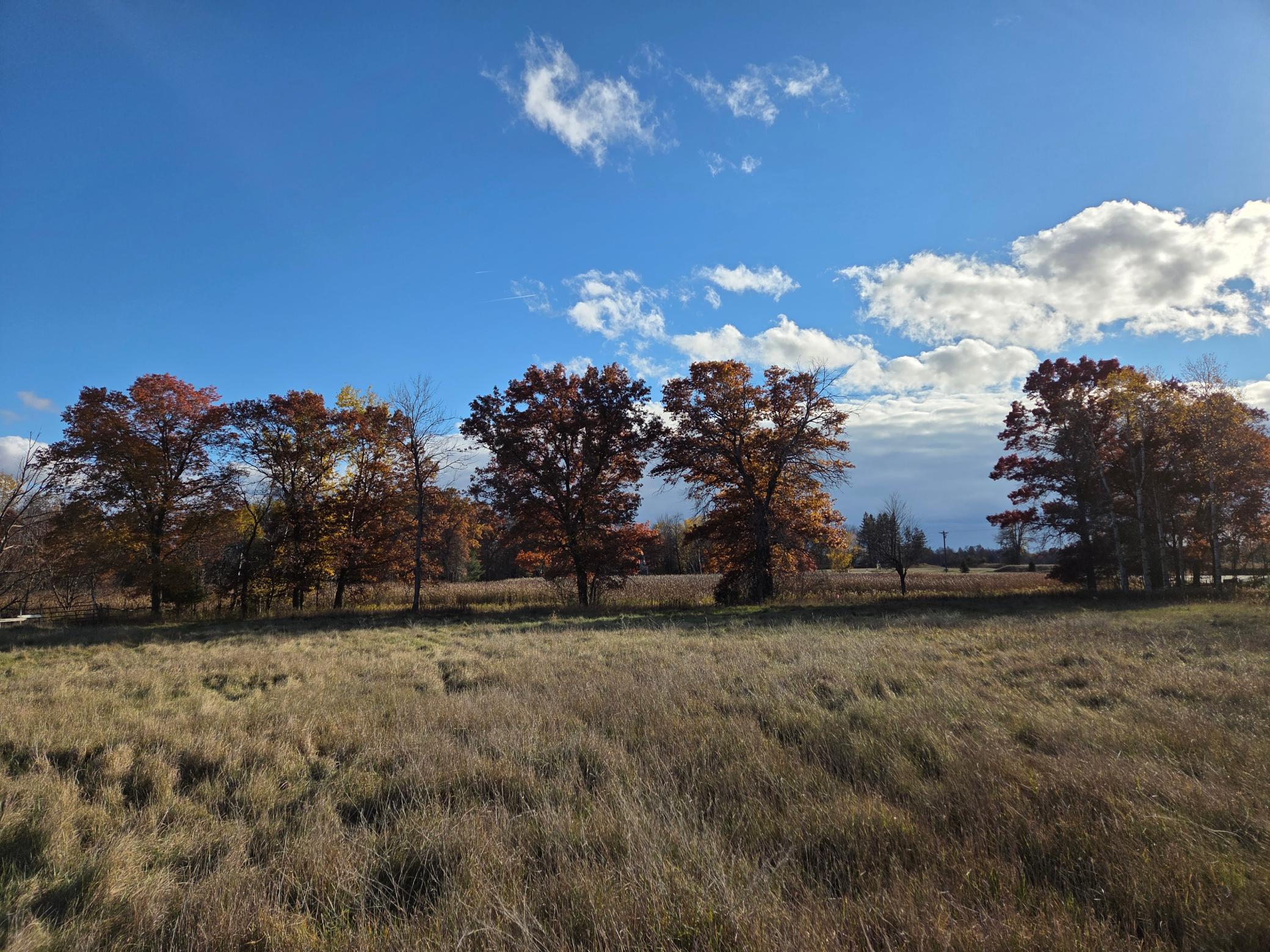 View of Land at 251x 183rd Ave NE, East Bethel MN 55092, East Bethel (3 of 42) - Mike Wilen | Minnesota Team Real Estate