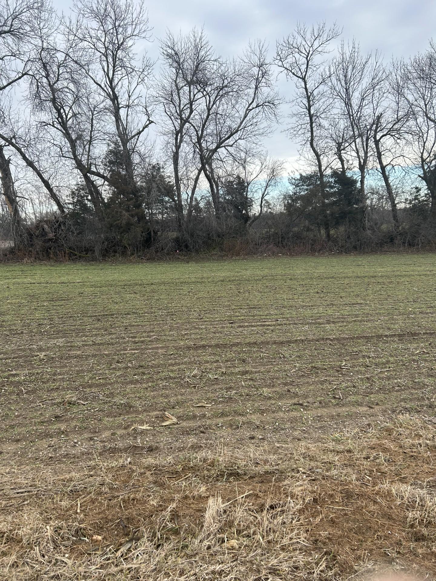 View of Land at Lot 1 Orlando Avenue, Hastings MN 55033, Hastings (3 of 9) - Mike Wilen | Minnesota Team Real Estate
