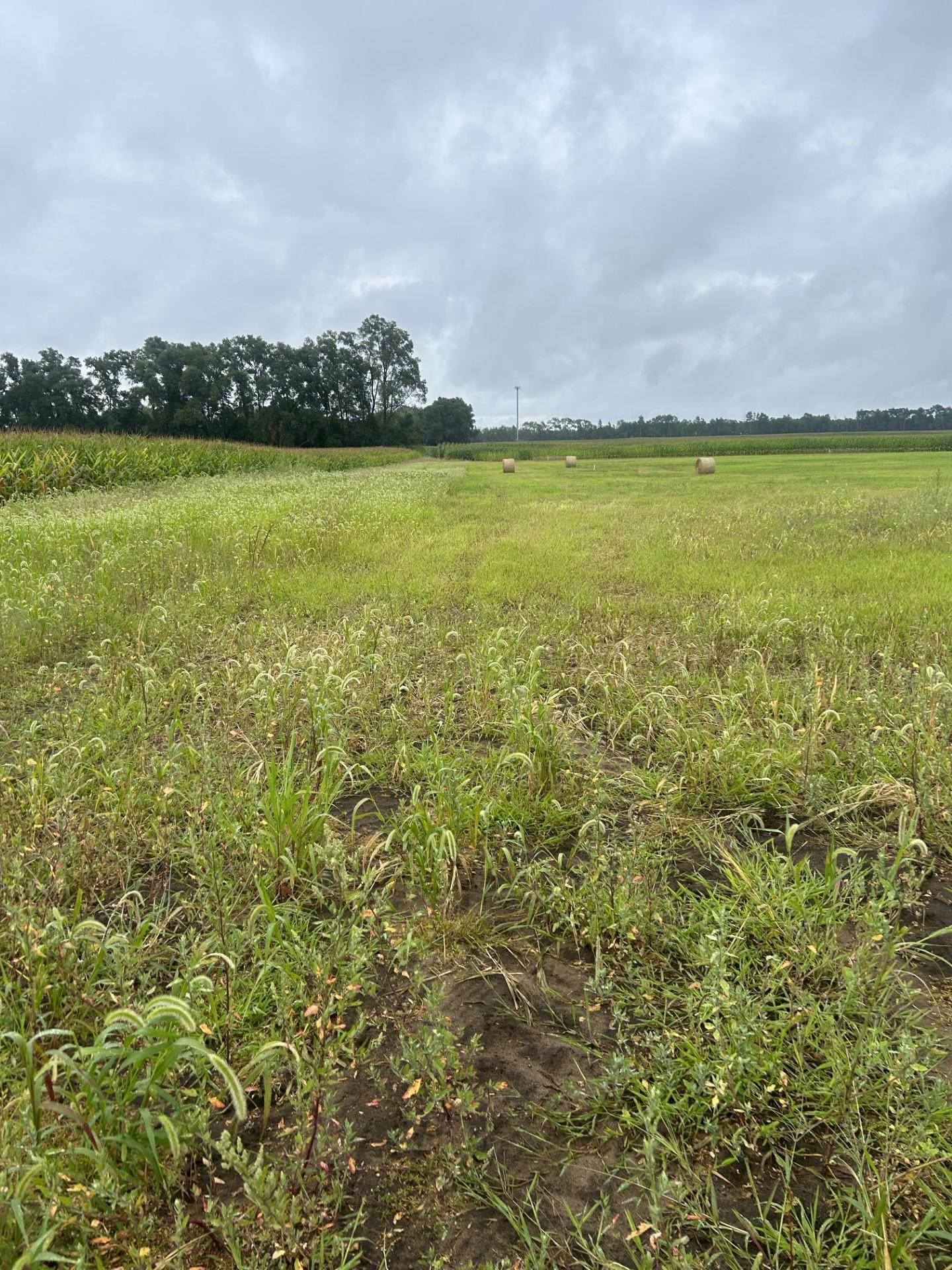 View of Land at Lot 1 Orlando Avenue, Hastings MN 55033, Hastings (4 of 9) - Mike Wilen | Minnesota Team Real Estate