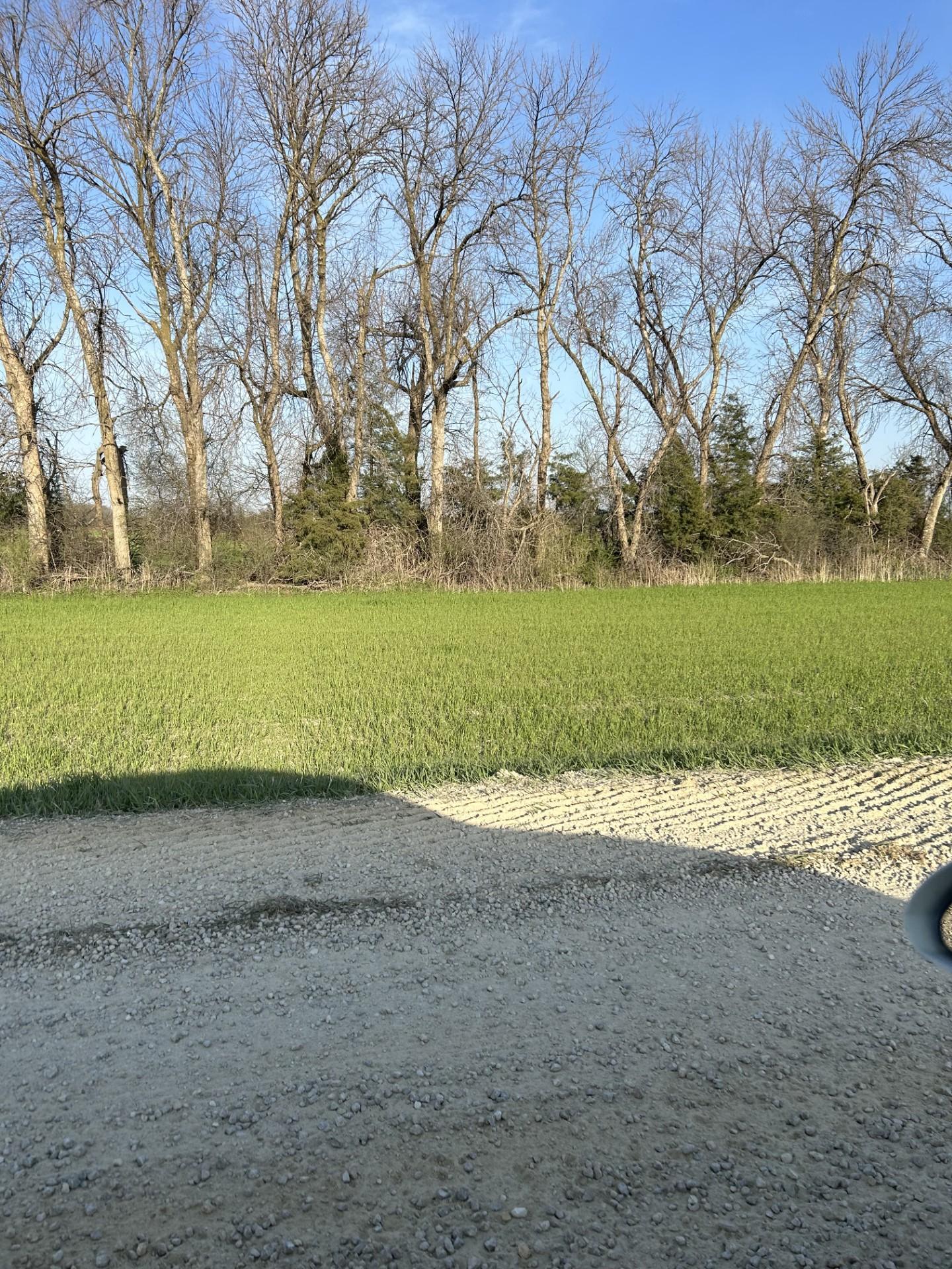 View of Land at Lot 2 Orlando Avenue, Hastings MN 55033, Hastings - Mike Wilen | Minnesota Team Real Estate