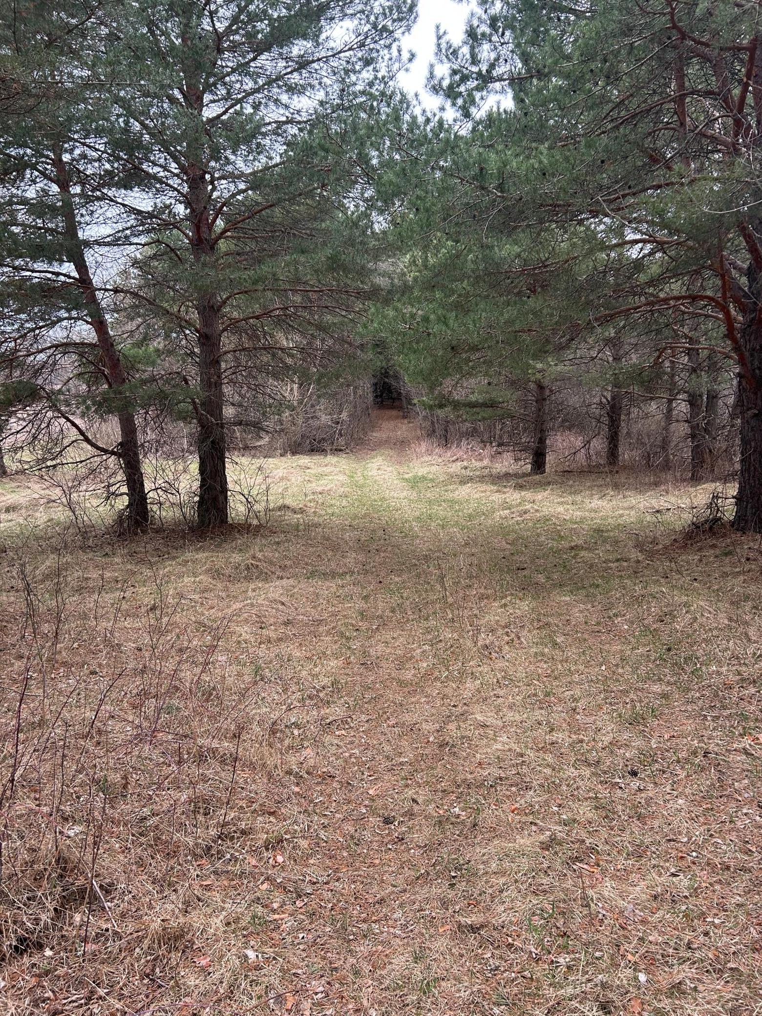 View of Land at tbd 253rd Street, Zimmerman MN 55398, Zimmerman - Mike Wilen | Minnesota Team Real Estate