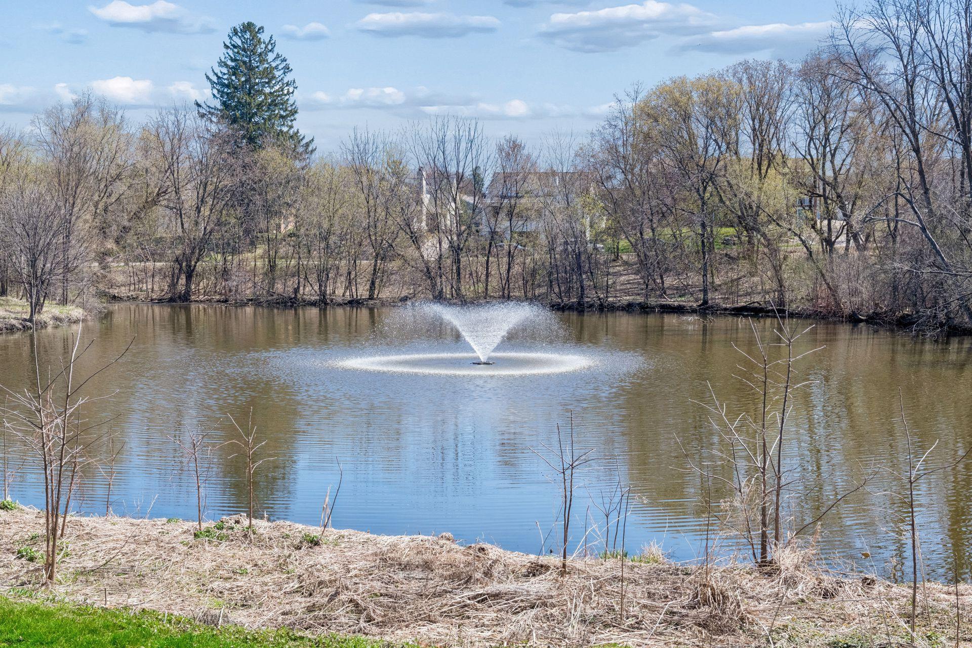 View of Residential at 215 Barry Avenue #202, Wayzata MN 55391, Wayzata (66 of 81) - Mike Wilen | Minnesota Team Real Estate