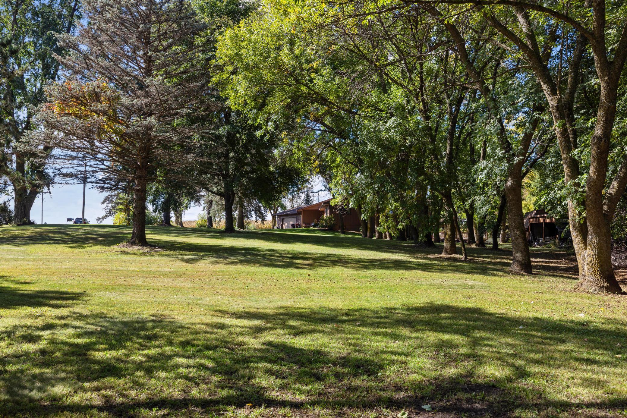 View of Residential at 4177 County Road 6, Annandale MN 55302, Annandale (45 of 63) - Mike Wilen | Minnesota Team Real Estate