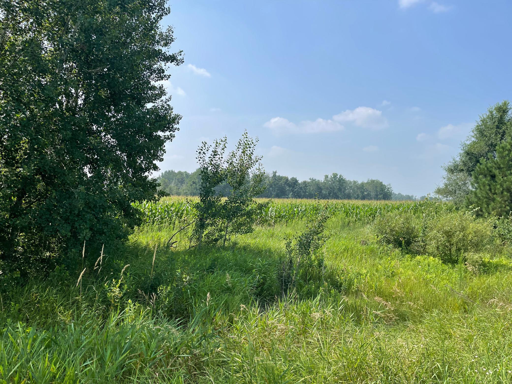 View of Land at XXX 17th Street, Princeton MN 55371, Princeton - Mike Wilen | Minnesota Team Real Estate