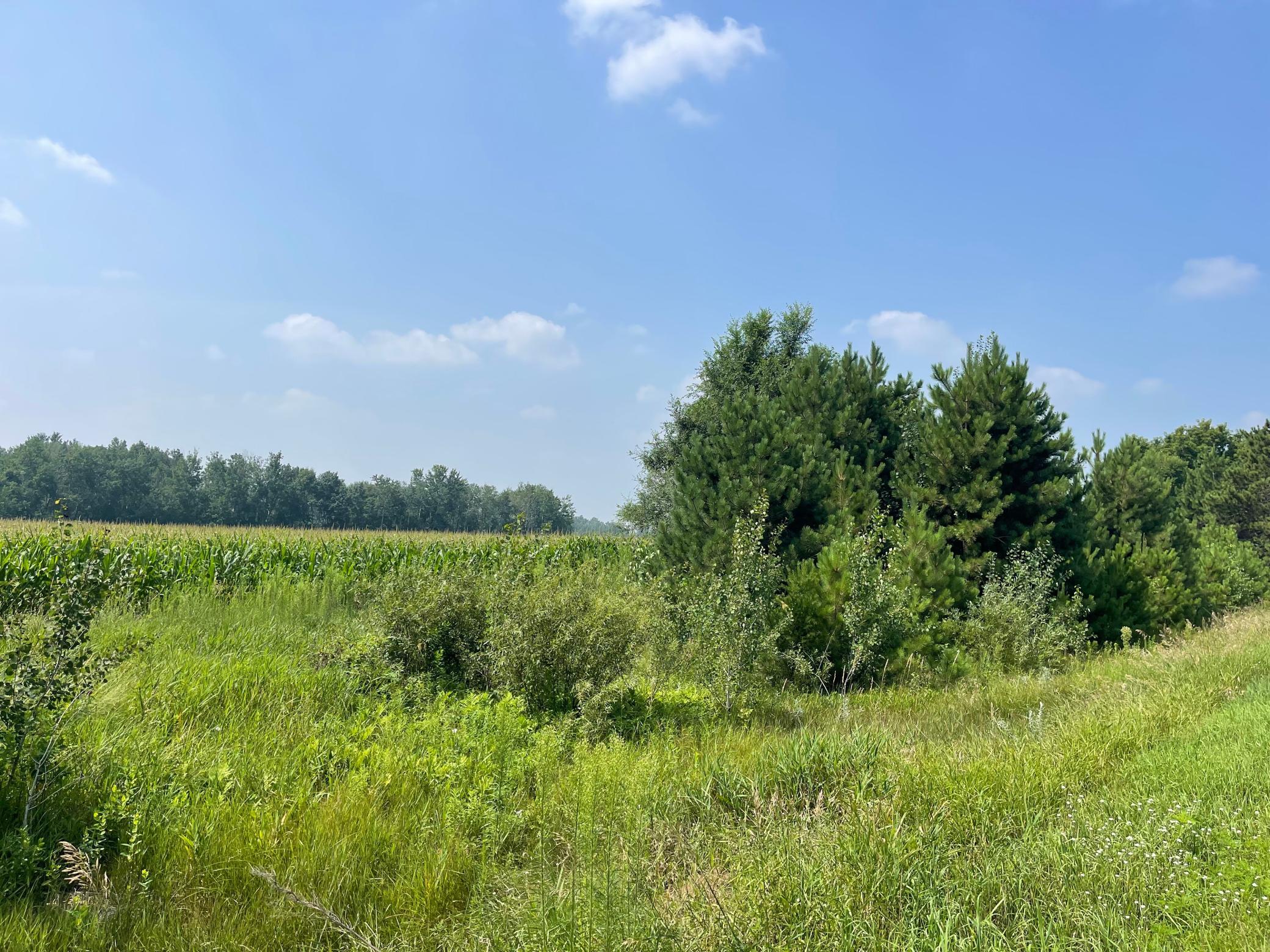 View of Land at XXX 17th Street, Princeton MN 55371, Princeton (2 of 10) - Mike Wilen | Minnesota Team Real Estate