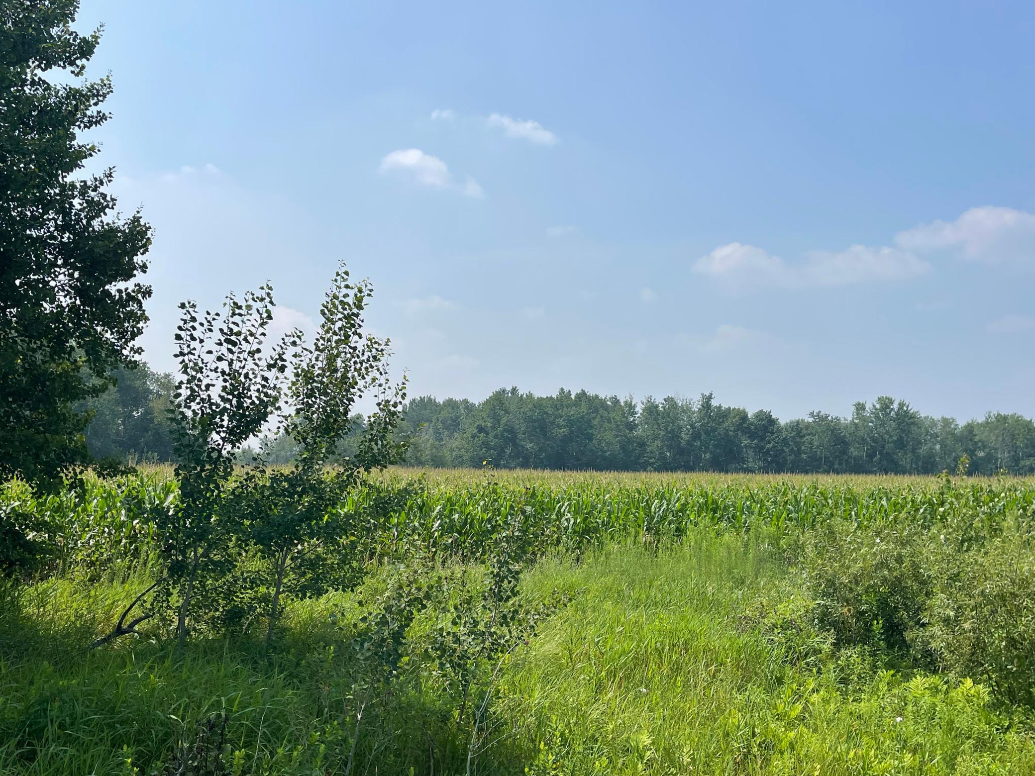 View of Land at XXX 17th Street, Princeton MN 55371, Princeton (3 of 10) - Mike Wilen | Minnesota Team Real Estate