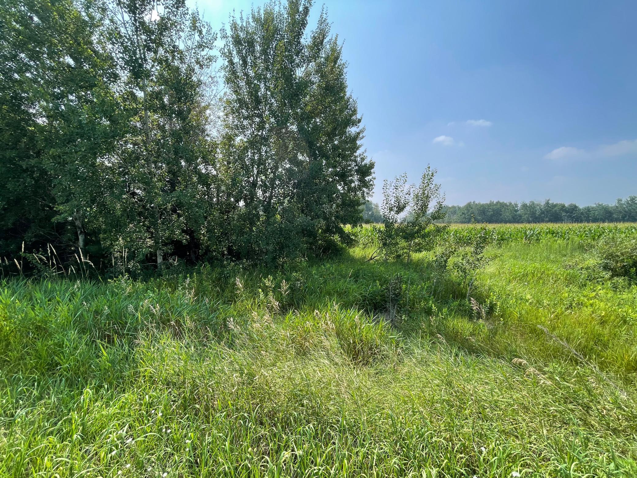 View of Land at XXX 17th Street, Princeton MN 55371, Princeton (4 of 10) - Mike Wilen | Minnesota Team Real Estate