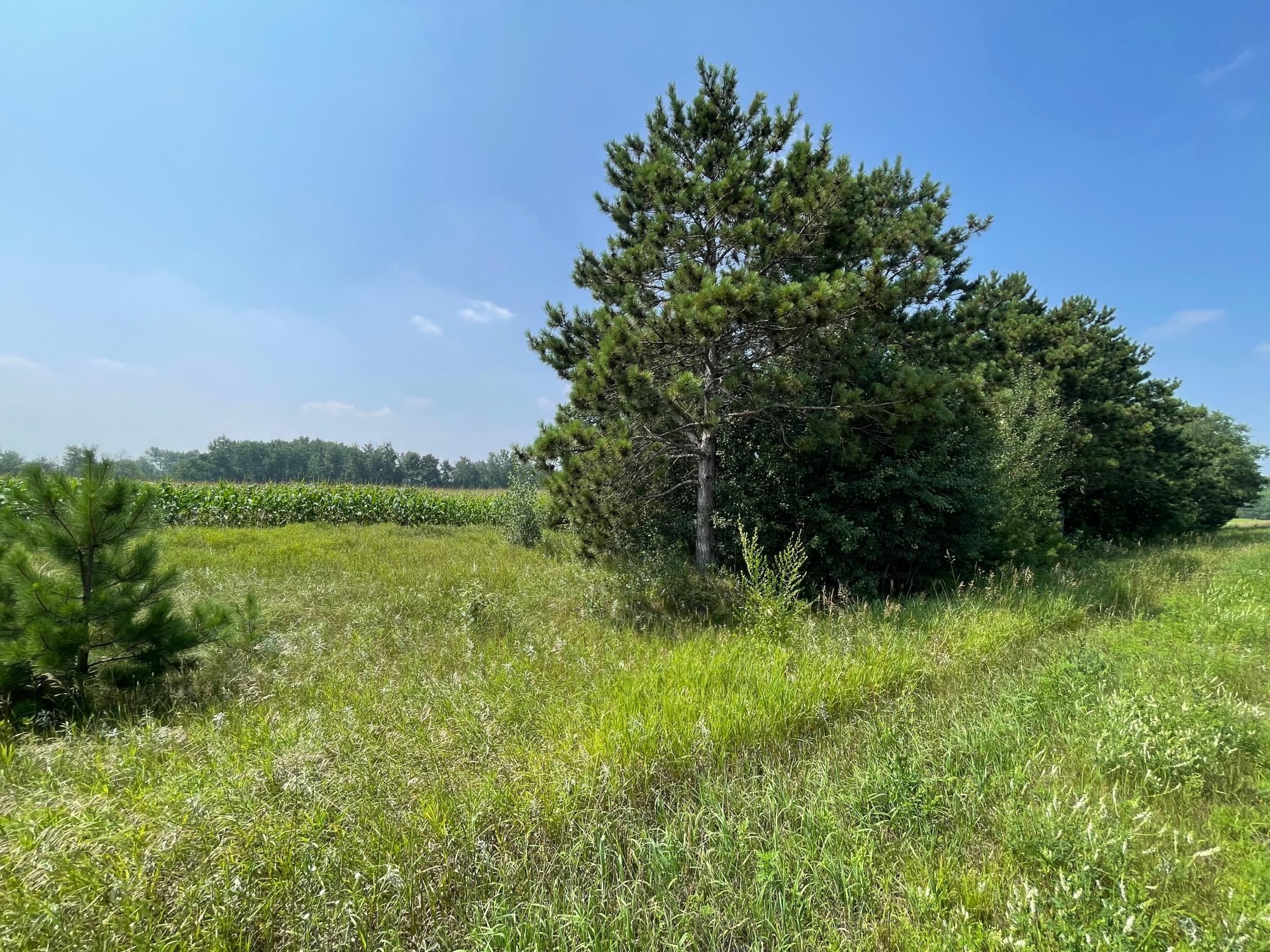 View of Land at XXX 17th Street, Princeton MN 55371, Princeton (5 of 10) - Mike Wilen | Minnesota Team Real Estate
