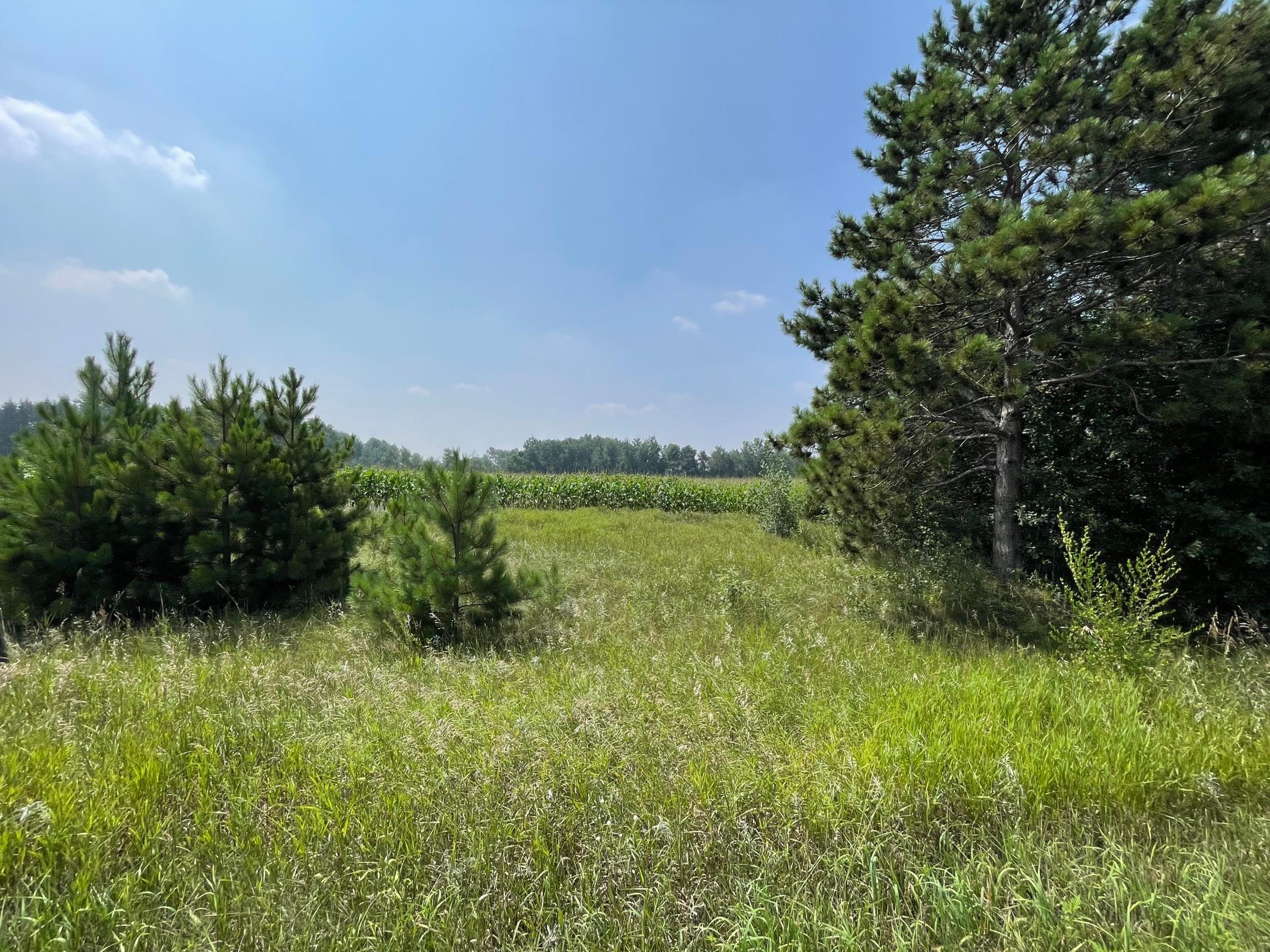 View of Land at XXX 17th Street, Princeton MN 55371, Princeton (7 of 10) - Mike Wilen | Minnesota Team Real Estate